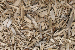 biomass boilers Llanio